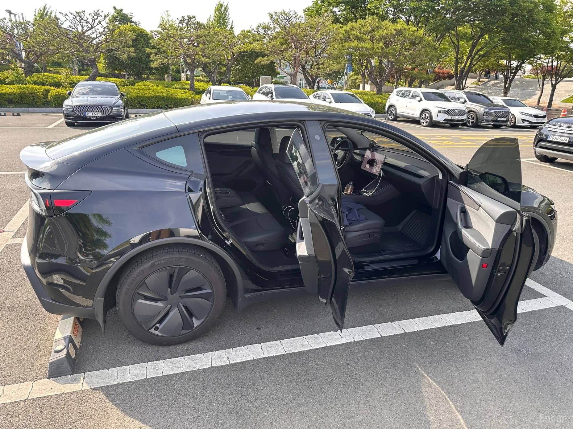 Model Y