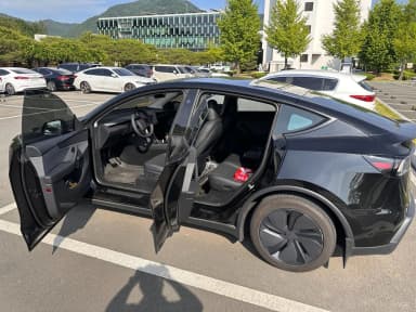 Model Y