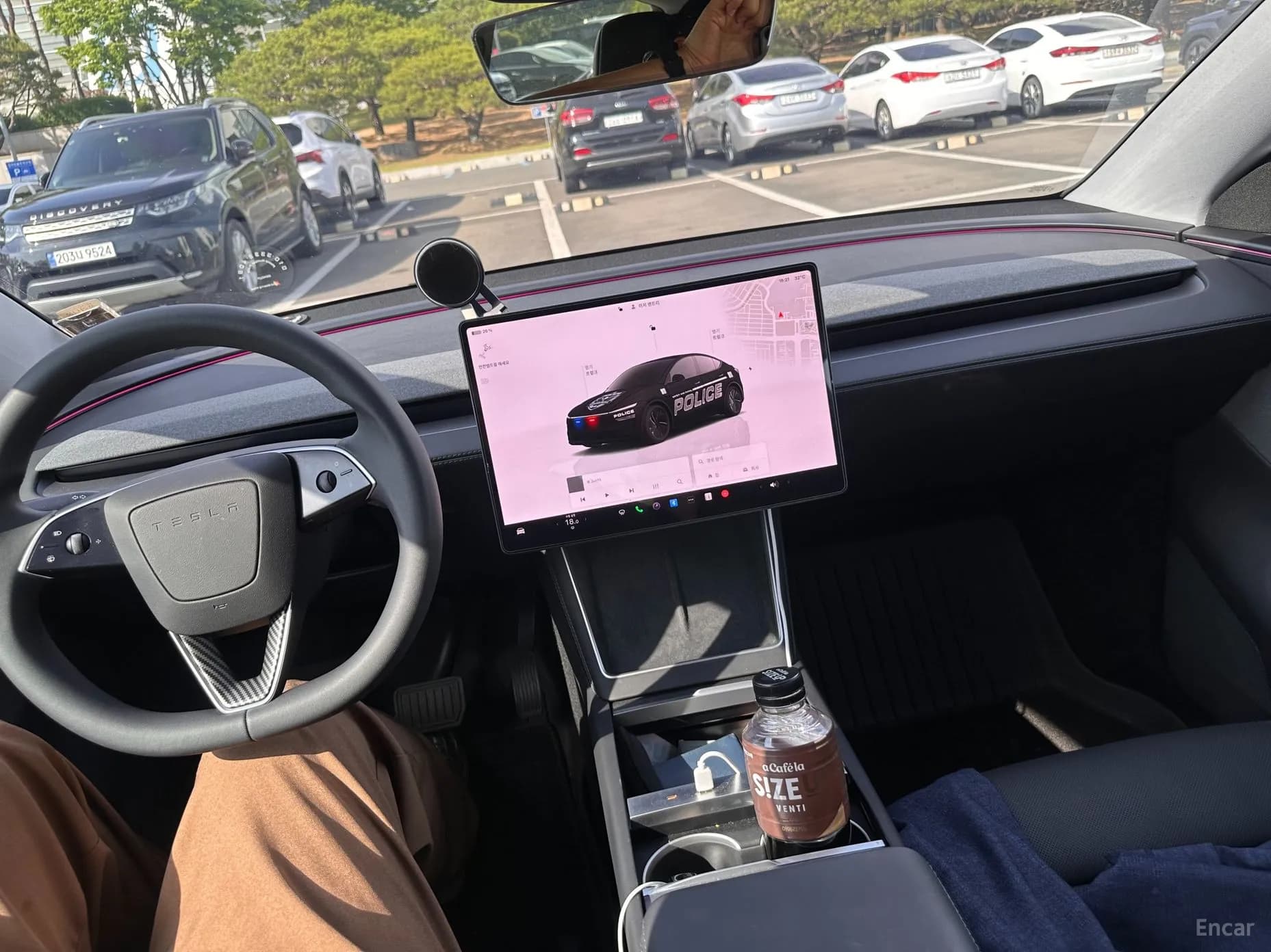 Model Y