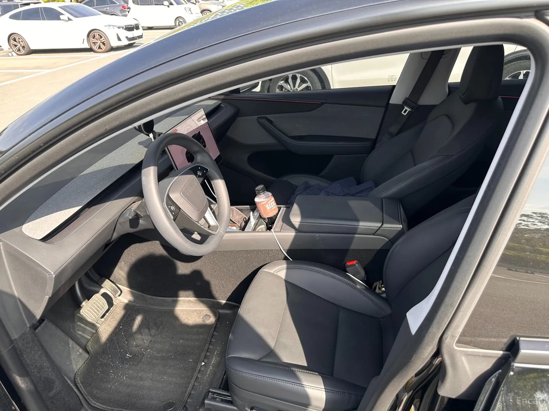 Model Y