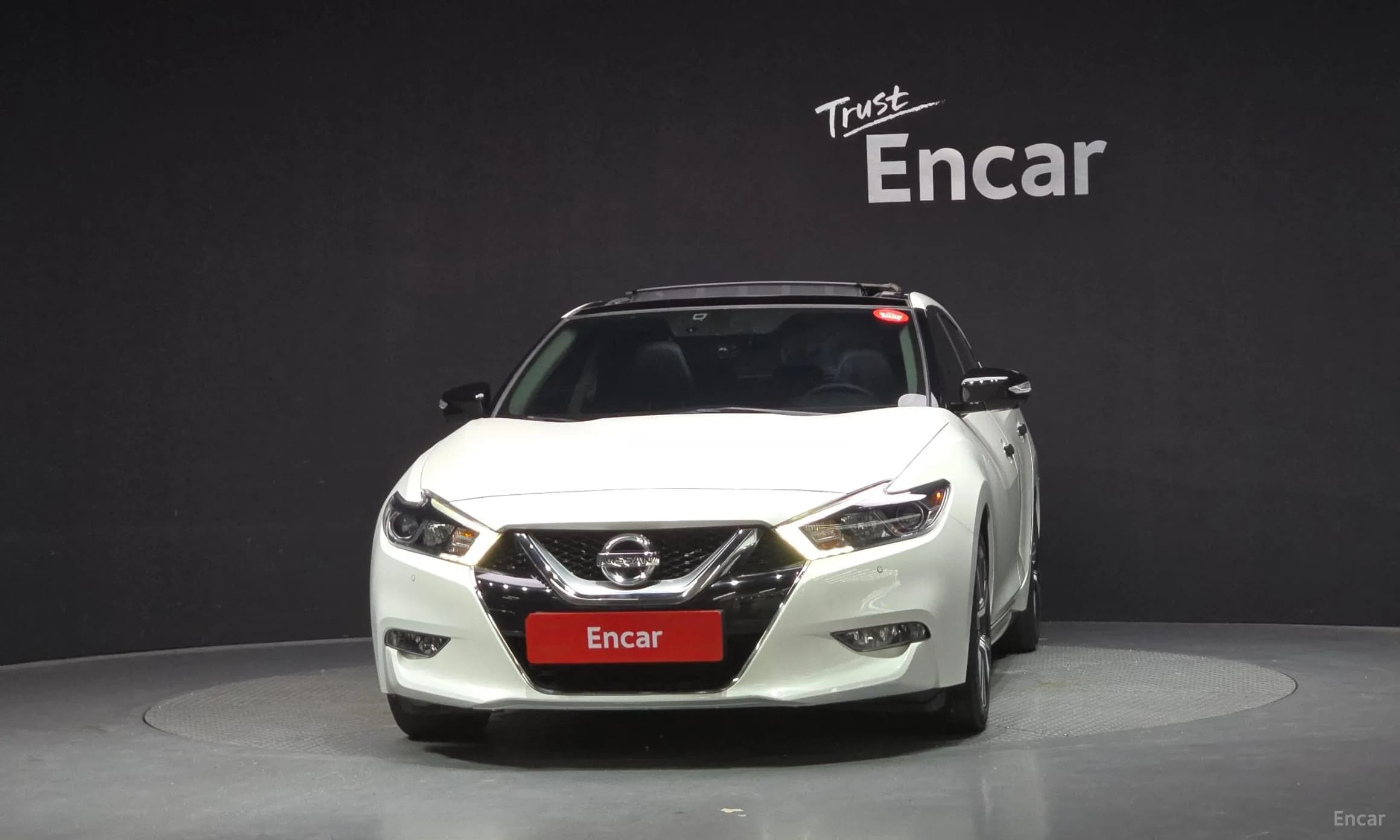 Maxima (A36)