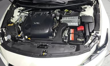 Maxima (A36)