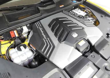 Urus