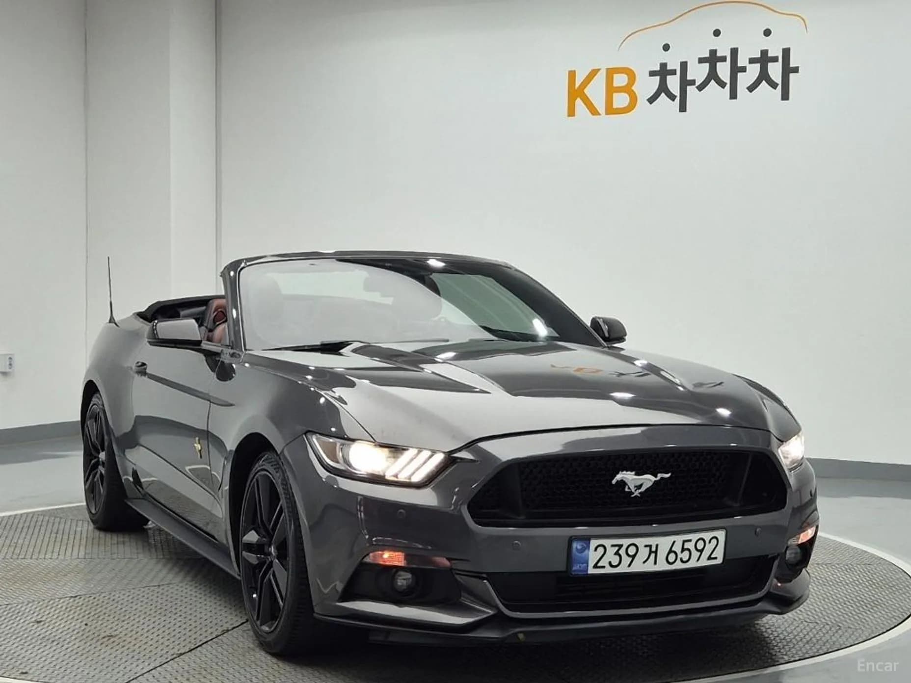 Mustang