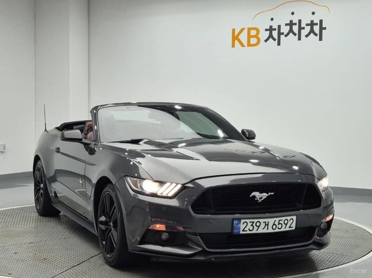 Mustang