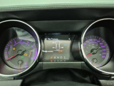 Mustang