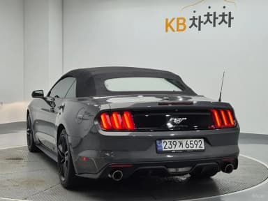 Mustang
