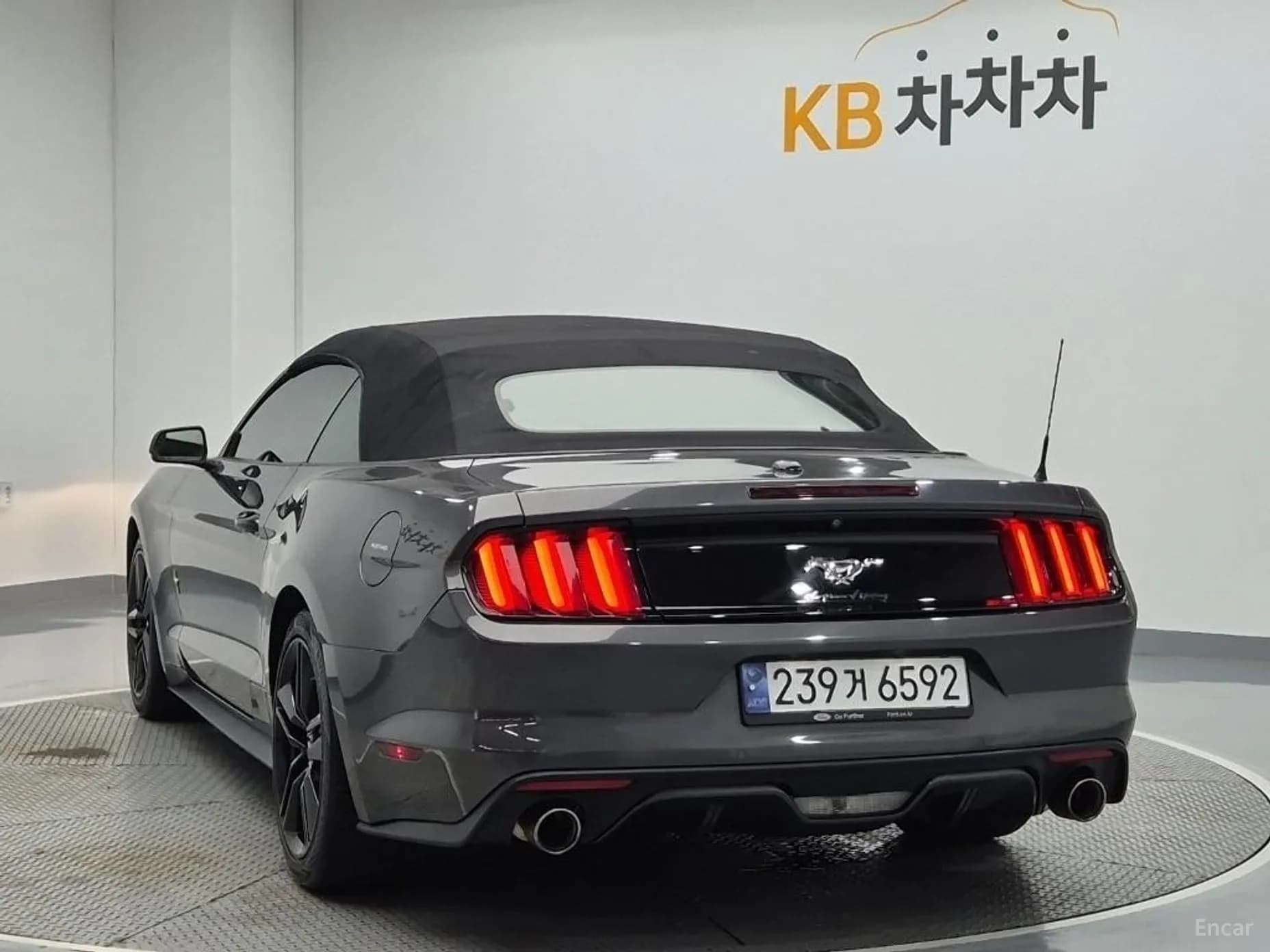 Mustang