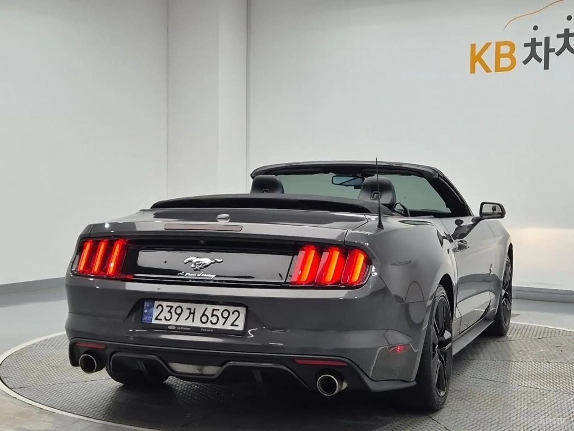 Mustang