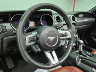 Mustang
