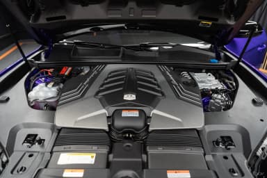 Urus