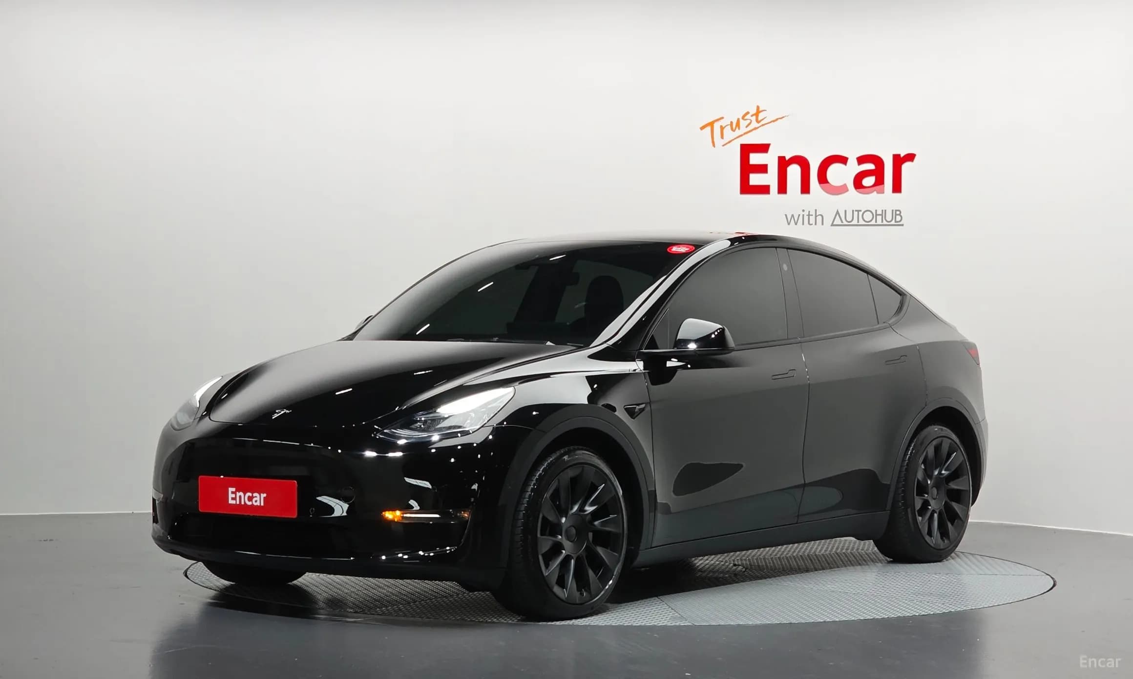 Model Y