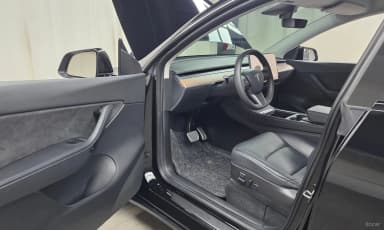 Model Y