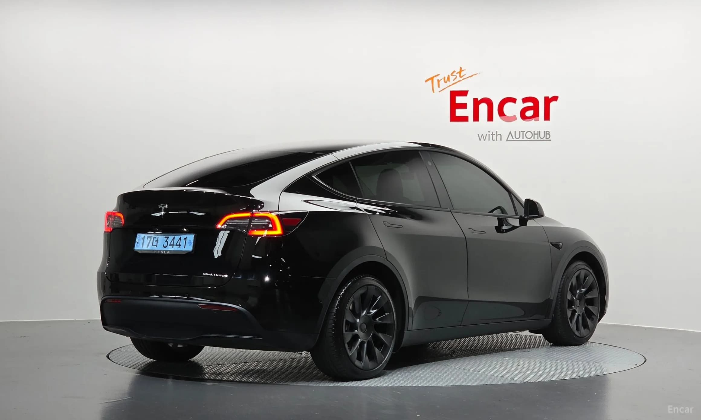 Model Y