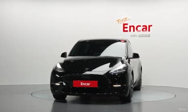 Model Y
