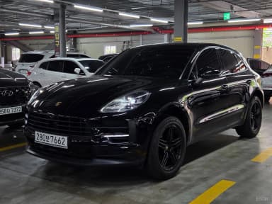 Macan