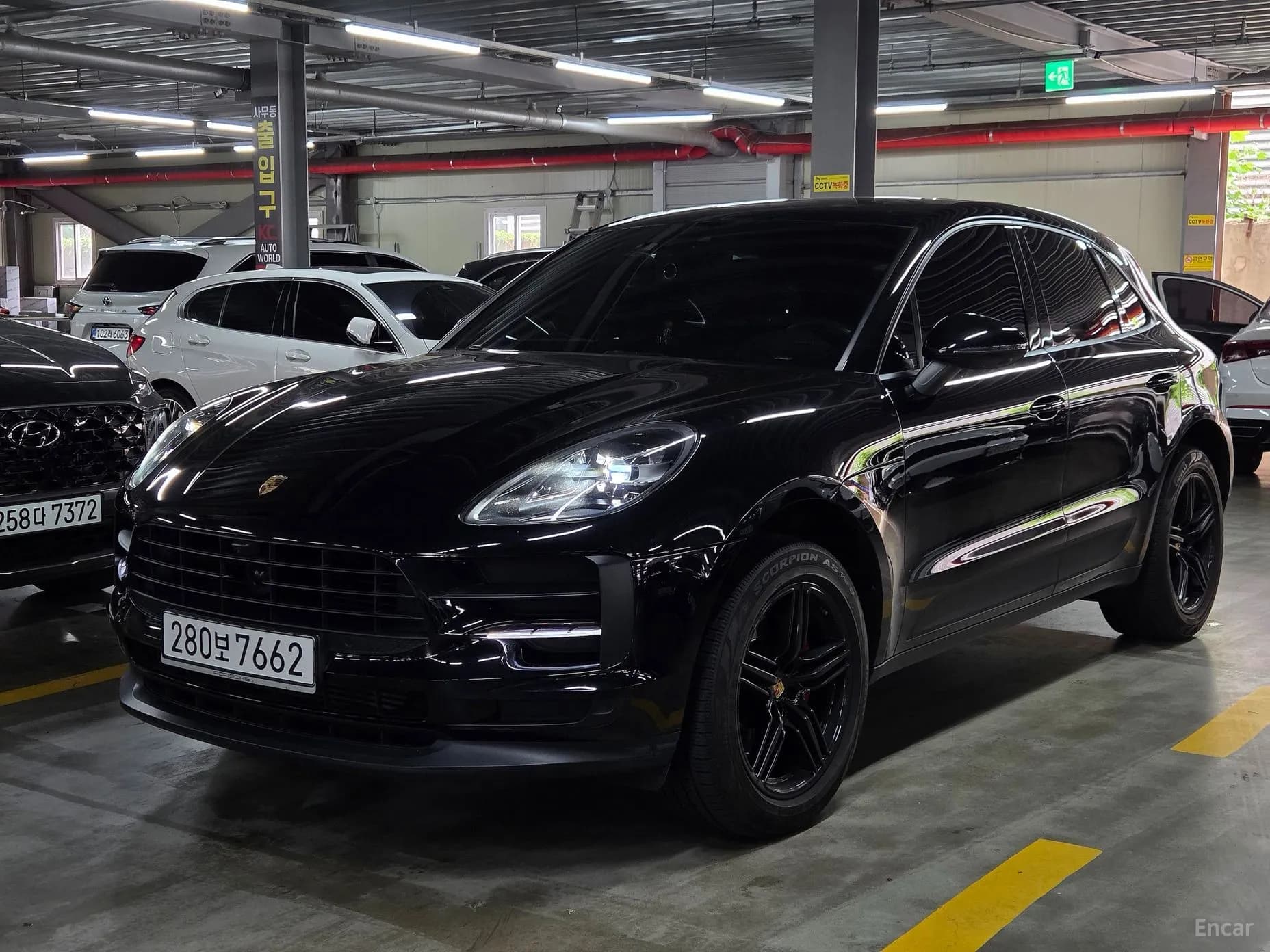 Macan