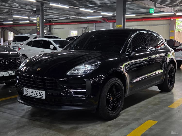 Macan