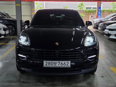 Macan