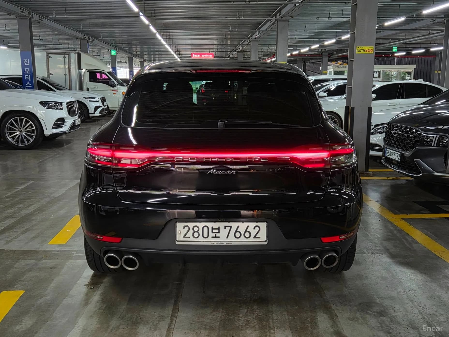 Macan