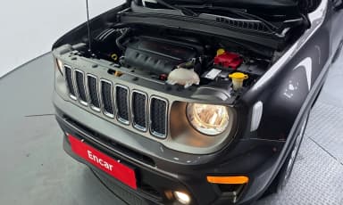 Renegade