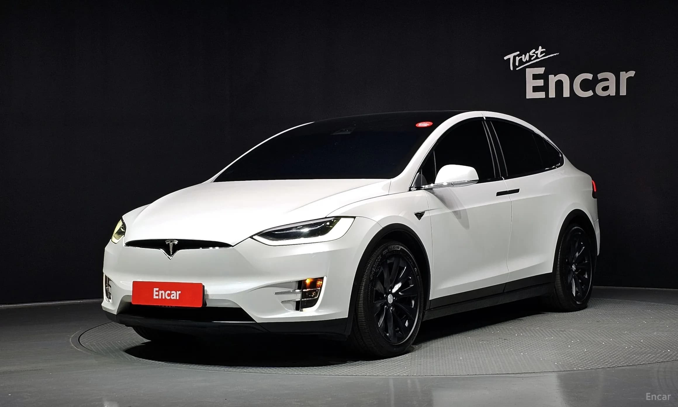 Model X