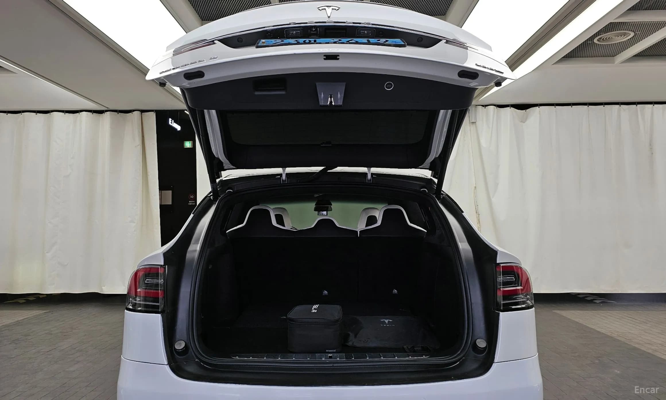 Model X