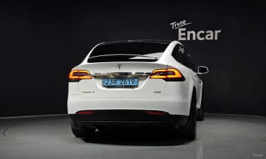 Model X