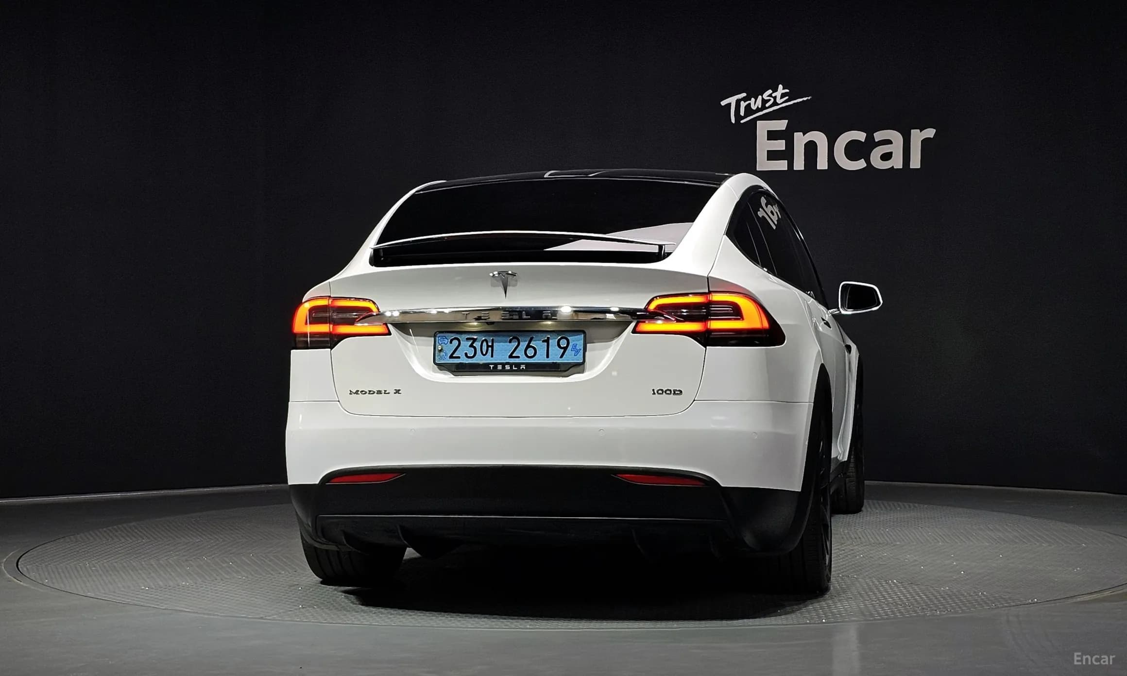 Model X