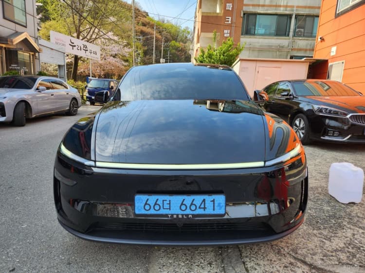 Model Y