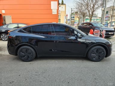 Model Y