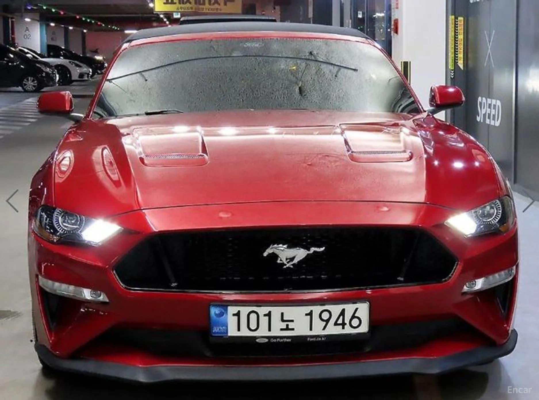 Mustang