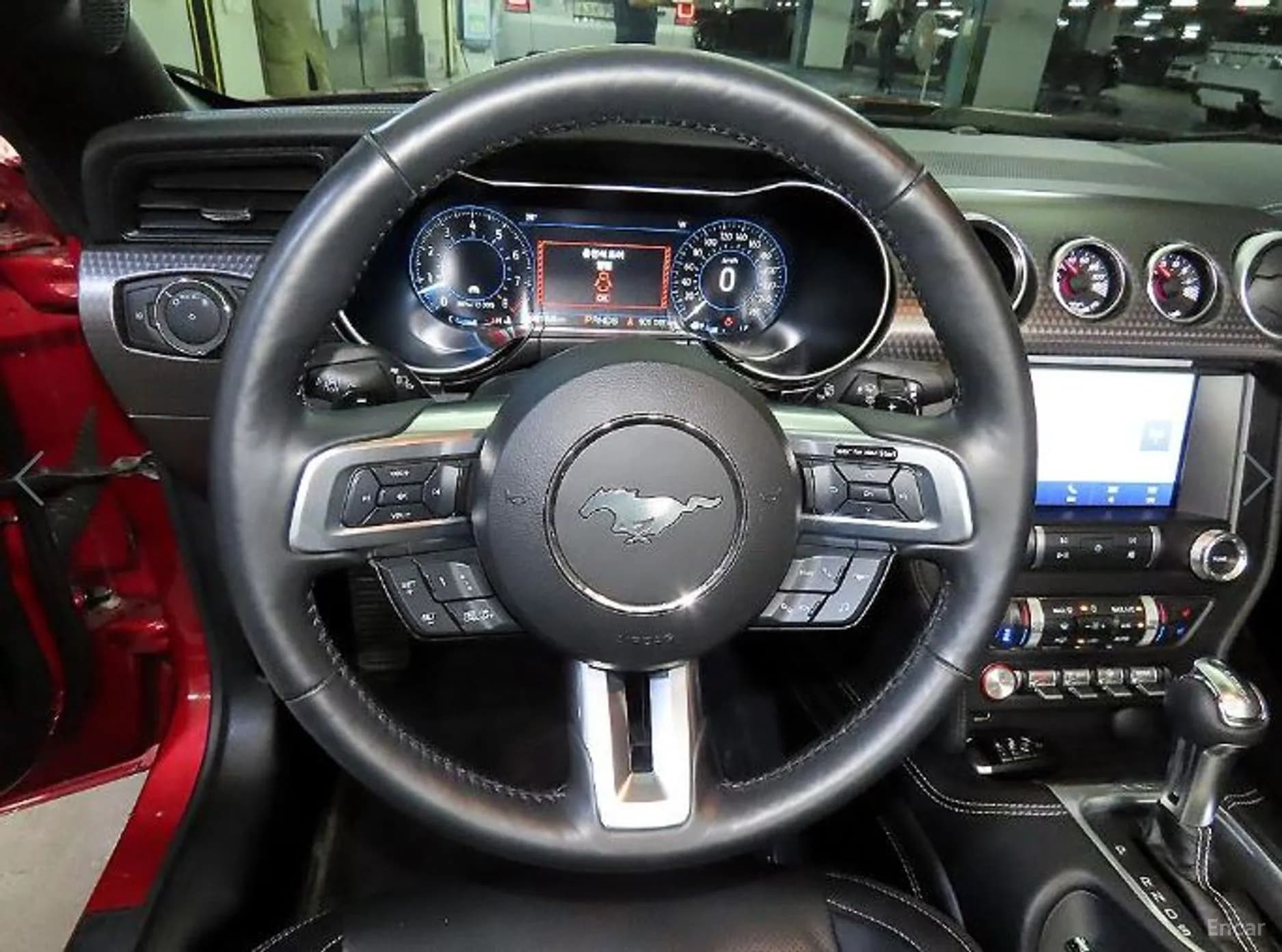 Mustang