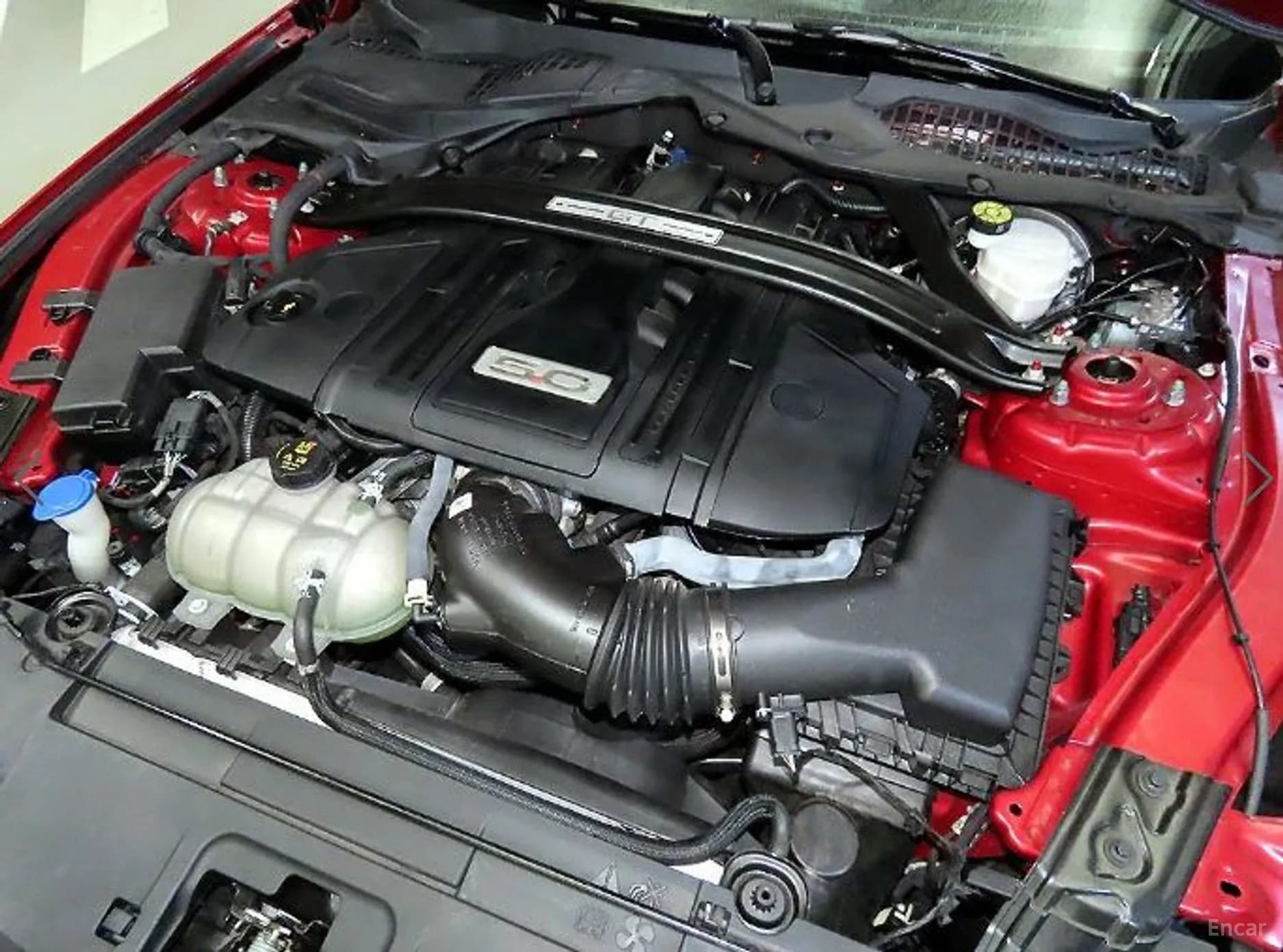 Mustang