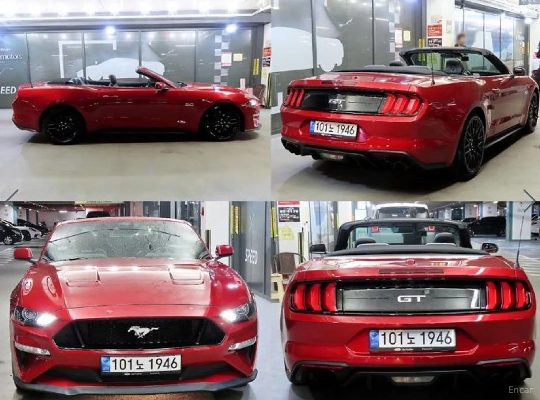 Mustang