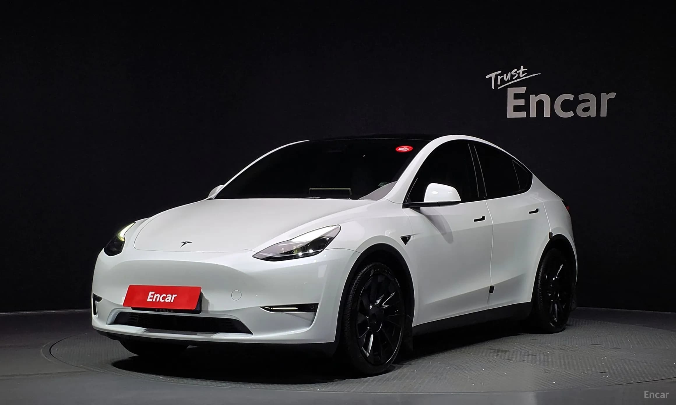Model Y