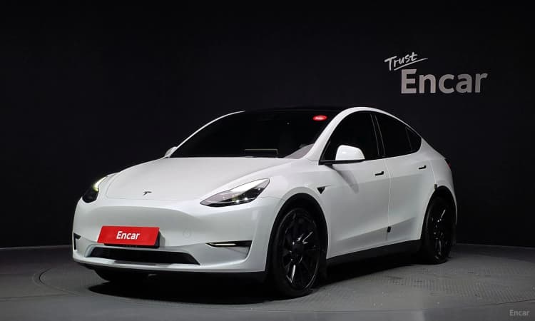 Model Y
