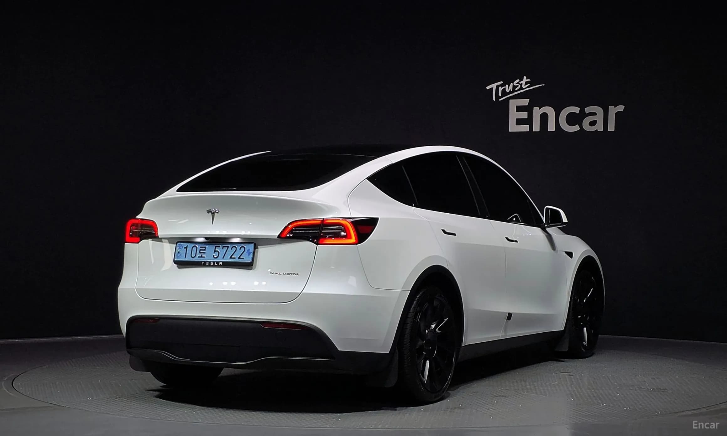 Model Y