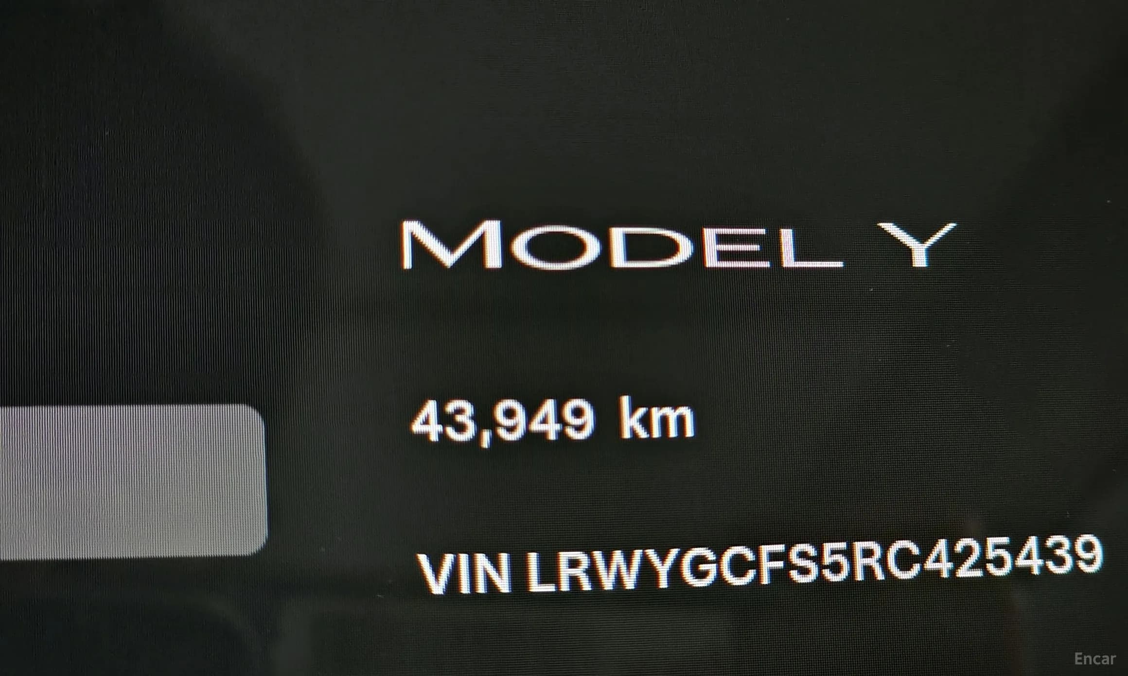Model Y