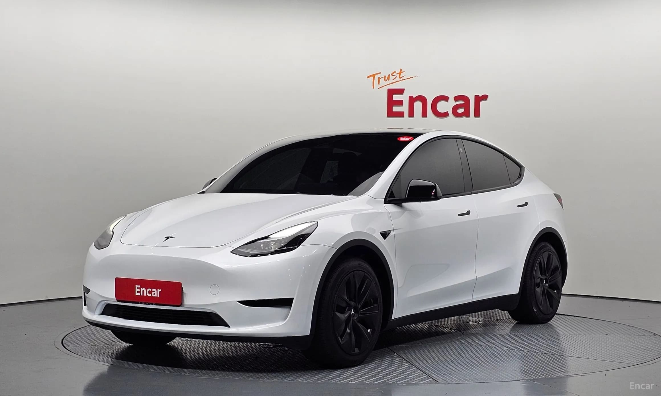 Model Y