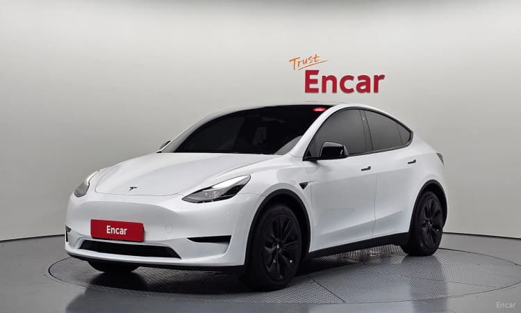 Model Y
