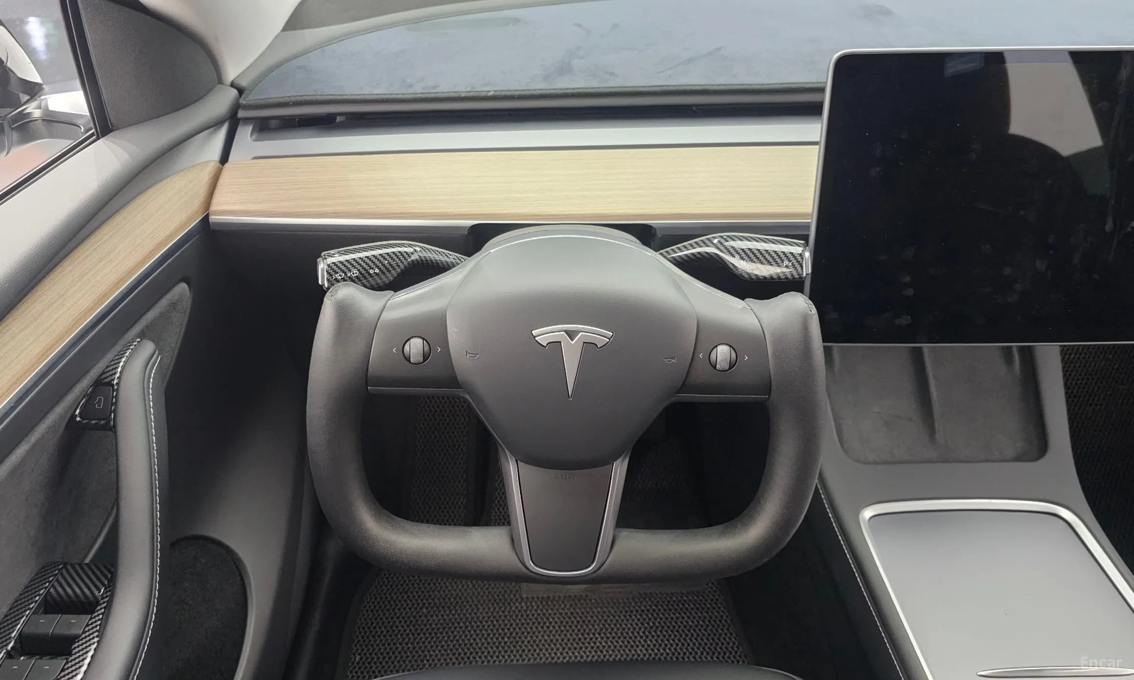 Model Y