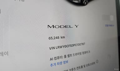 Model Y