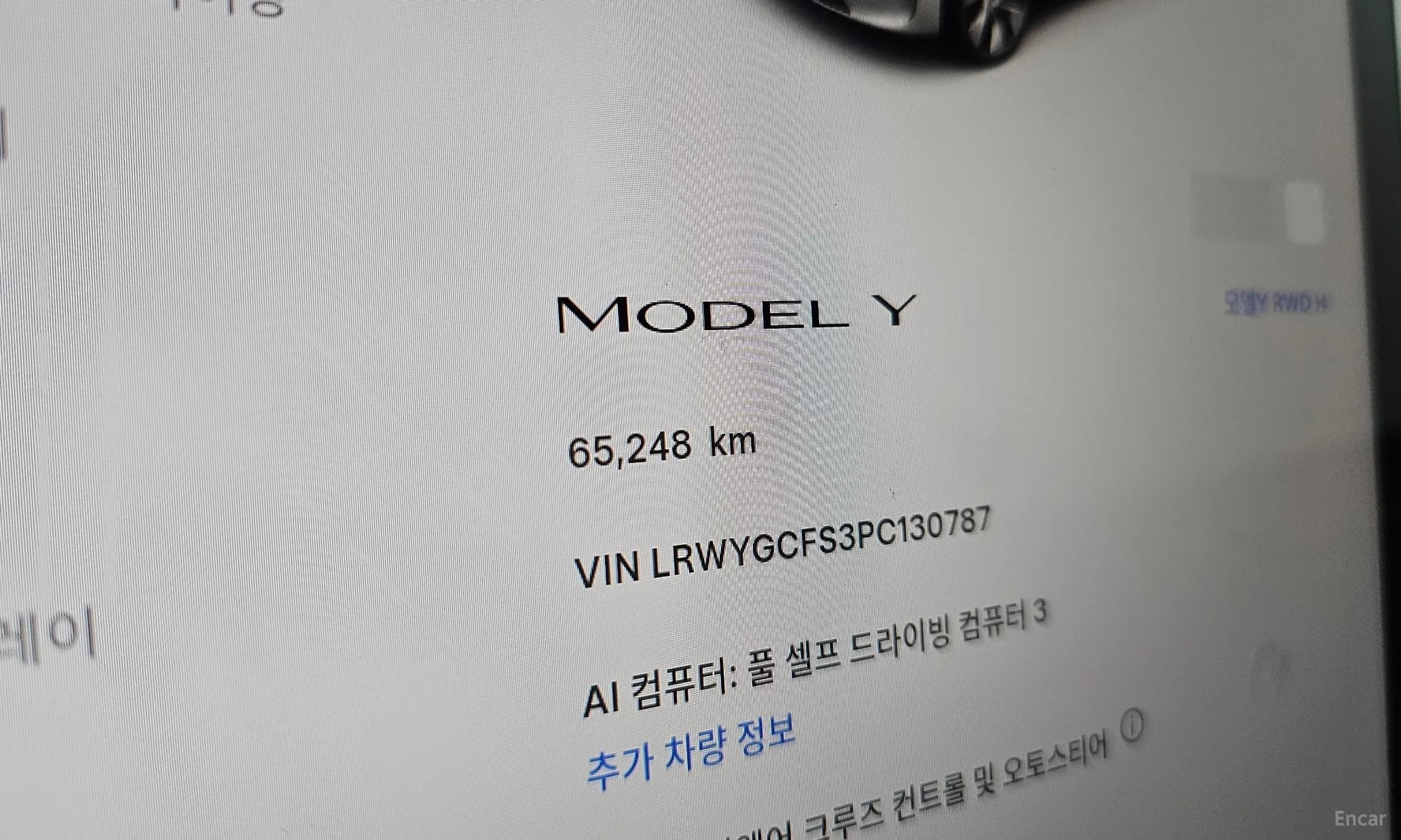 Model Y