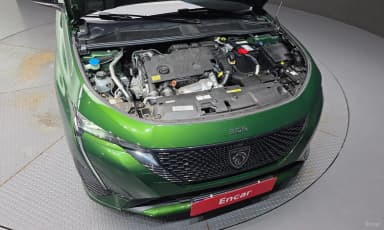 308 Third Generation