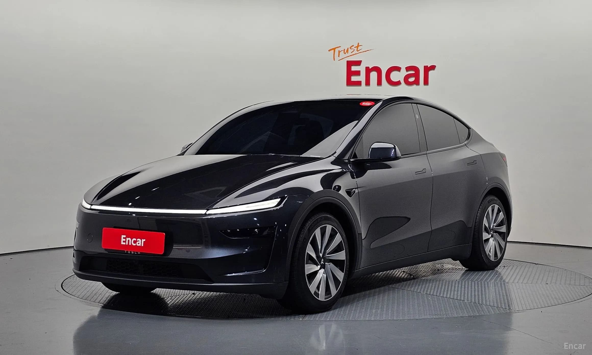 Model Y