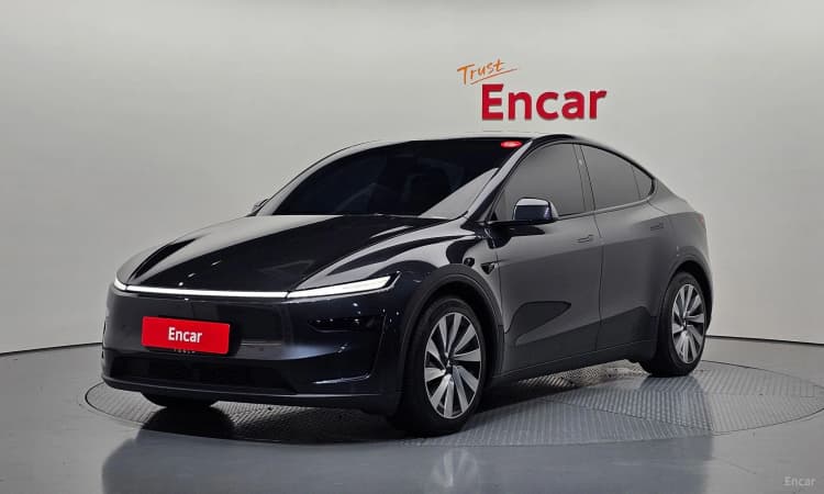 Model Y