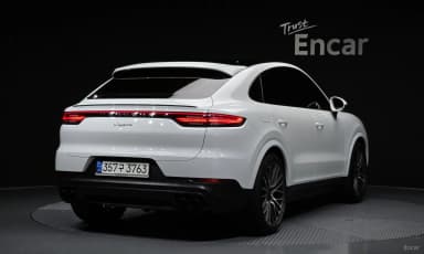 Cayenne (PO536)