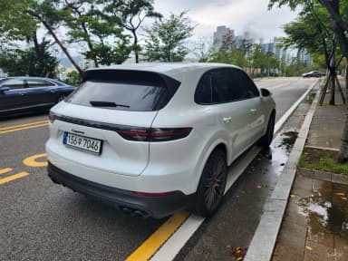 Cayenne (PO536)