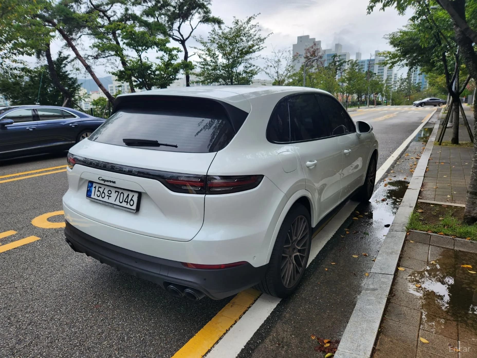 Cayenne (PO536)